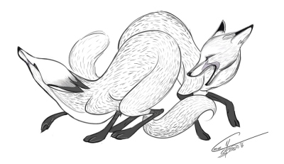 1_conor-o-brien-foxes-sketch